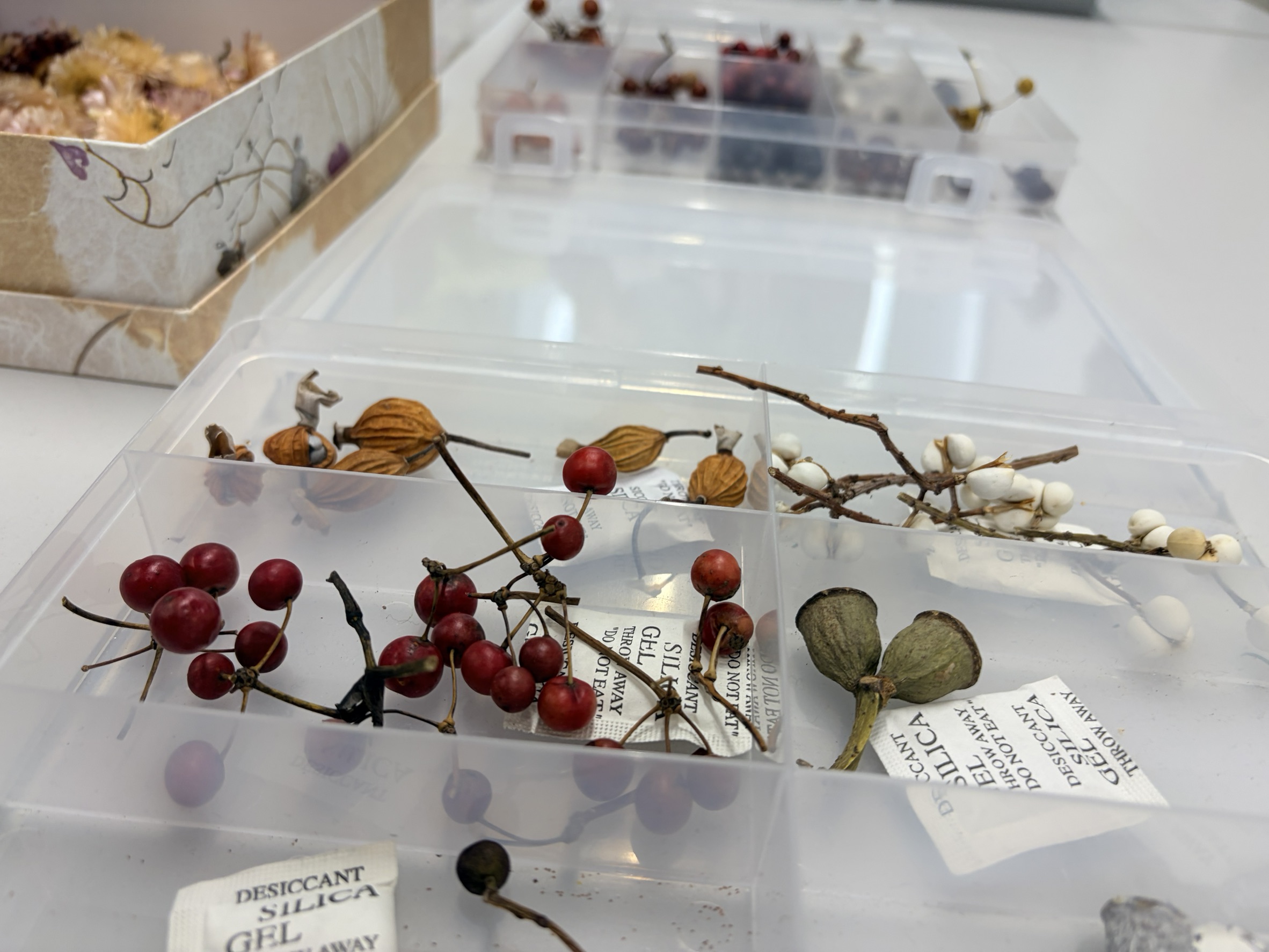 フラワーボトル・花材の様子 17