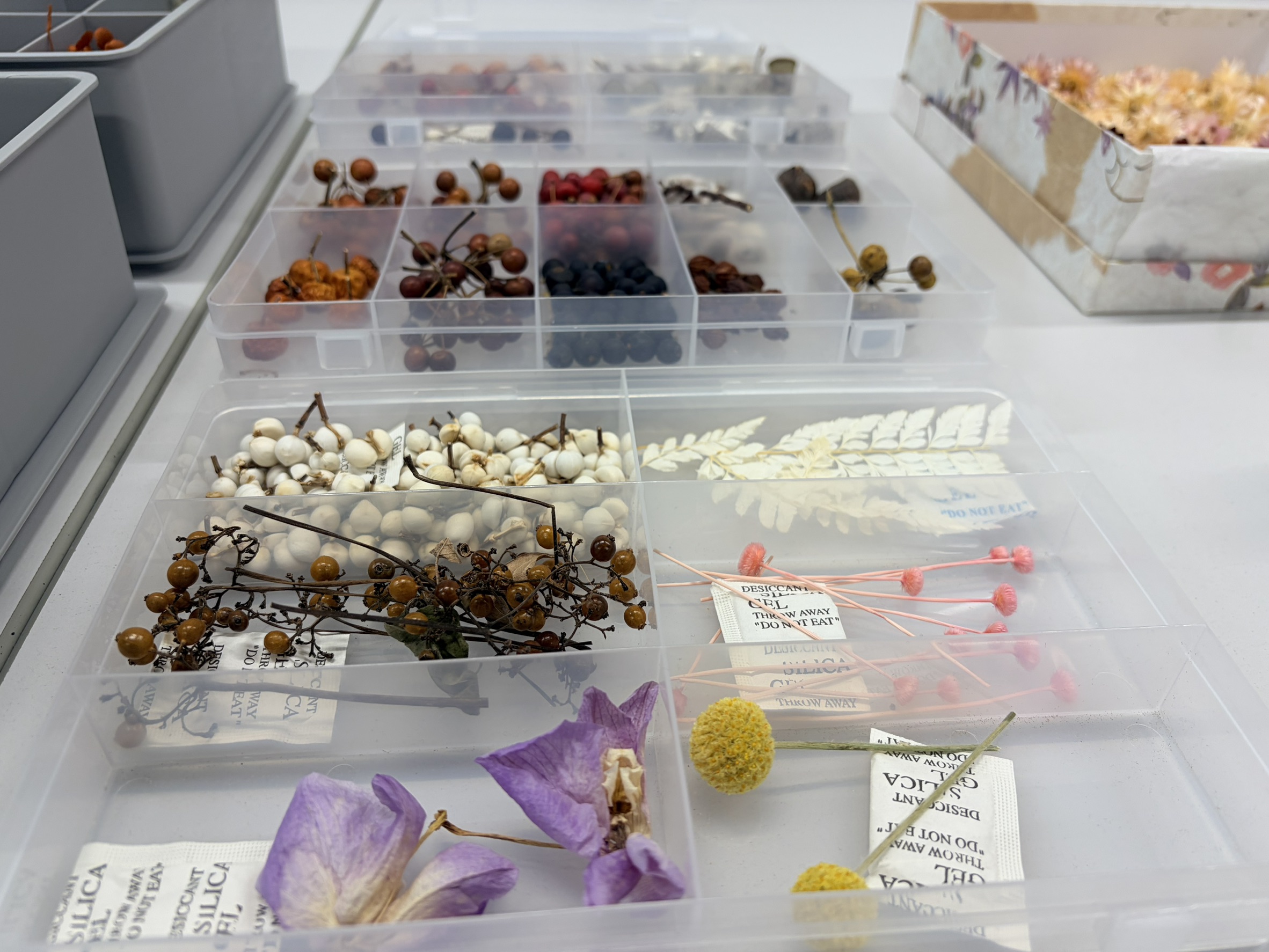 フラワーボトル・花材の様子 20