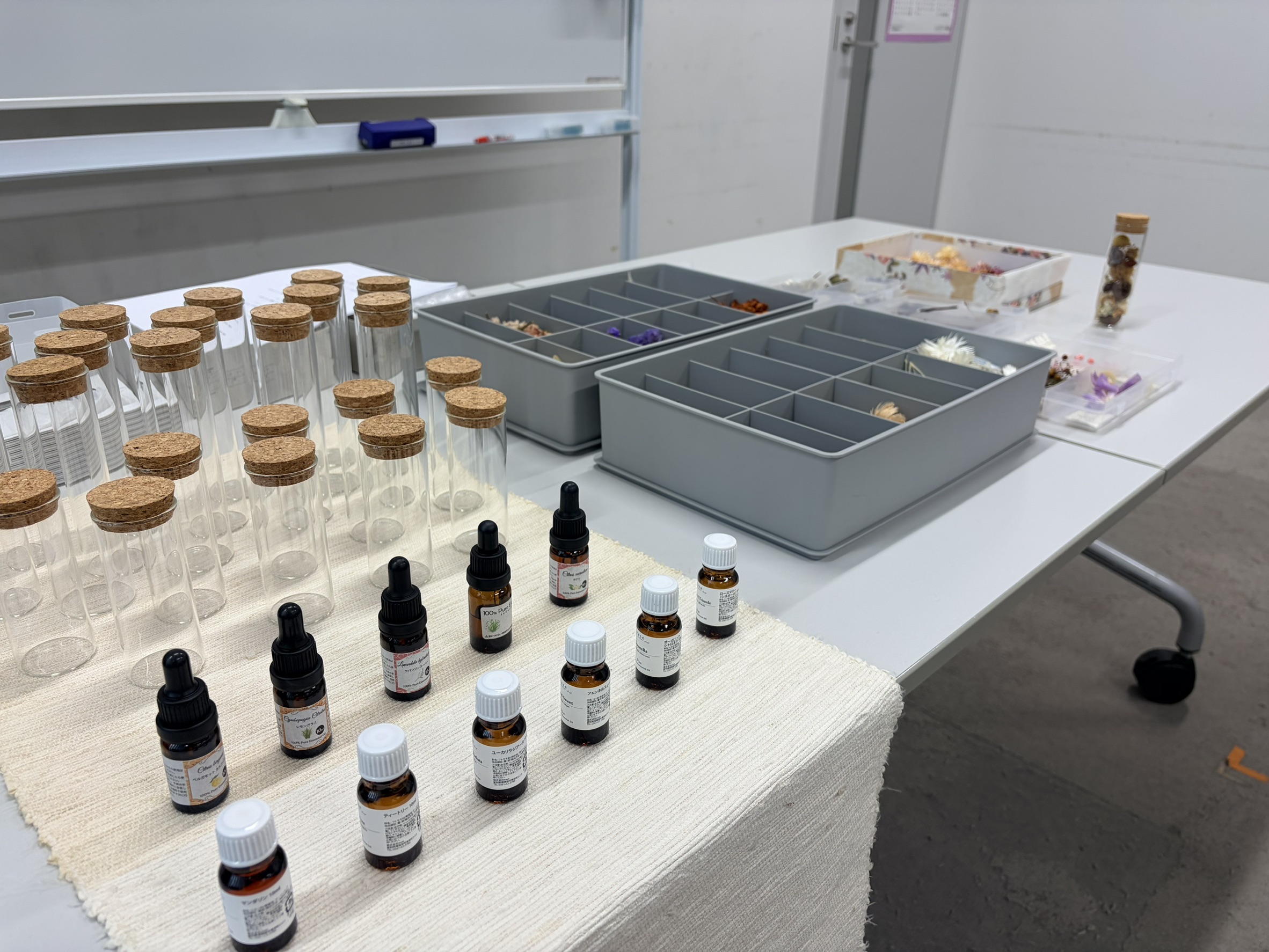 ワークショップの様子 9